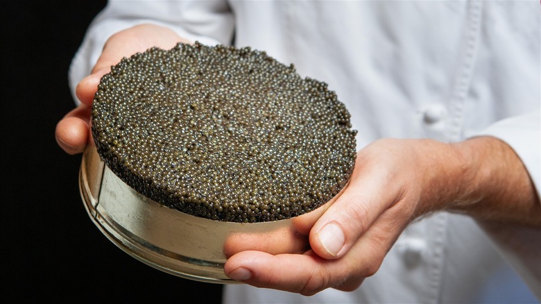 A chef's hands holding a large tin of gray beluga caviar.