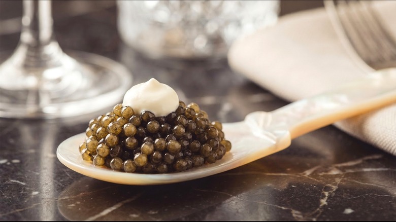 Beluga caviar served on a mother-of-pearl spoon and topped with a dollop of crème fraîche.
