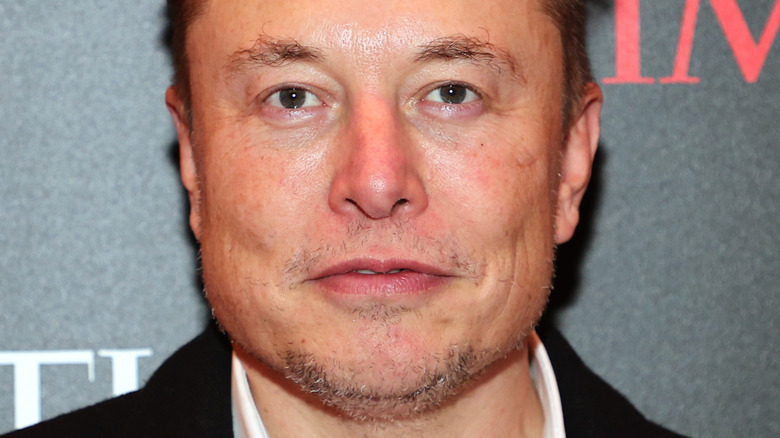 Elon Musk with slight smirk