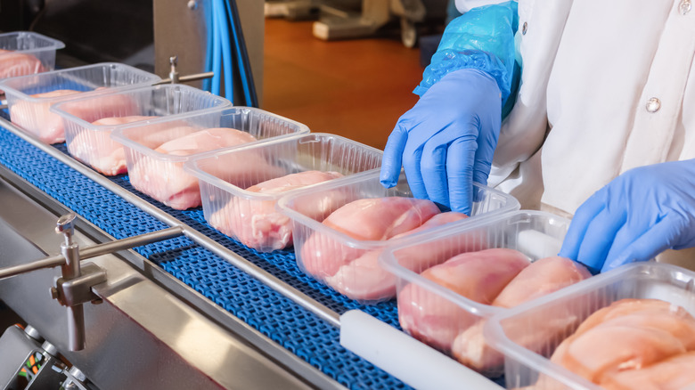Meat on conveyor belt