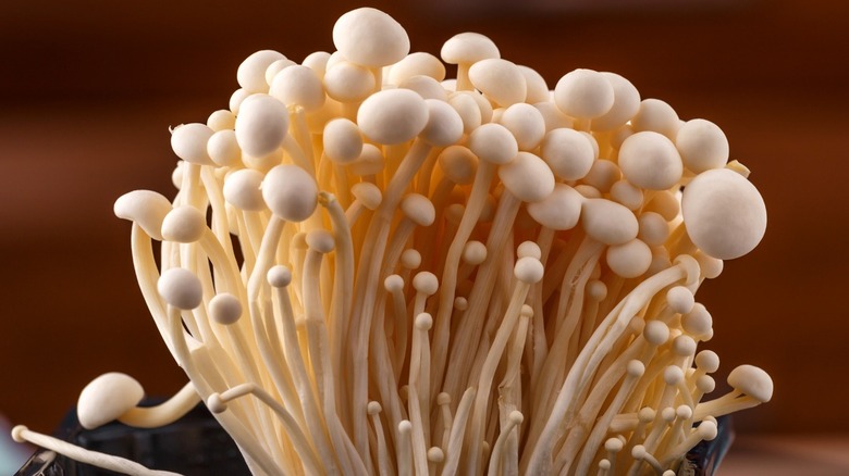 enoki mushrooms