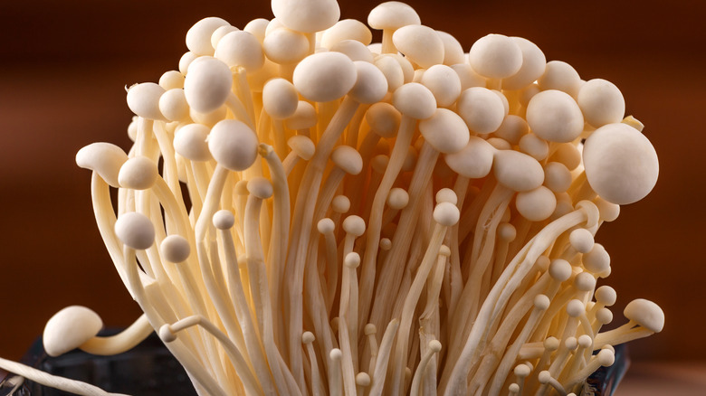 Enoki mushrooms upright