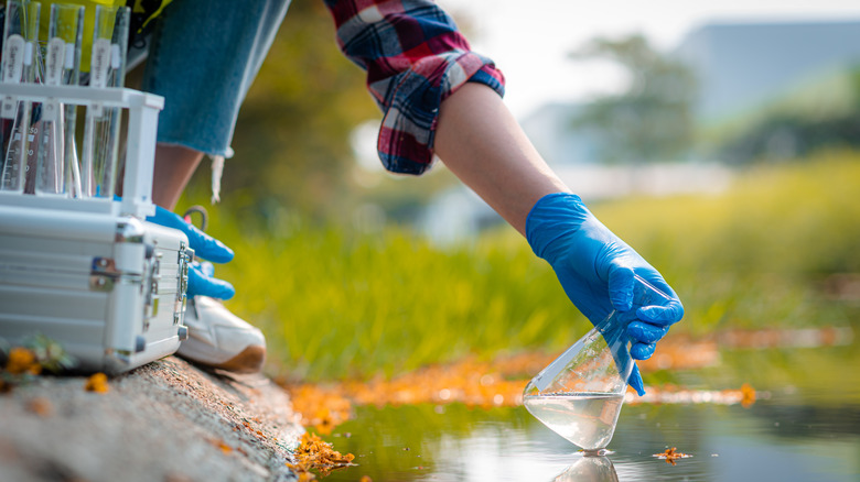 person collecting water samples from lake or river