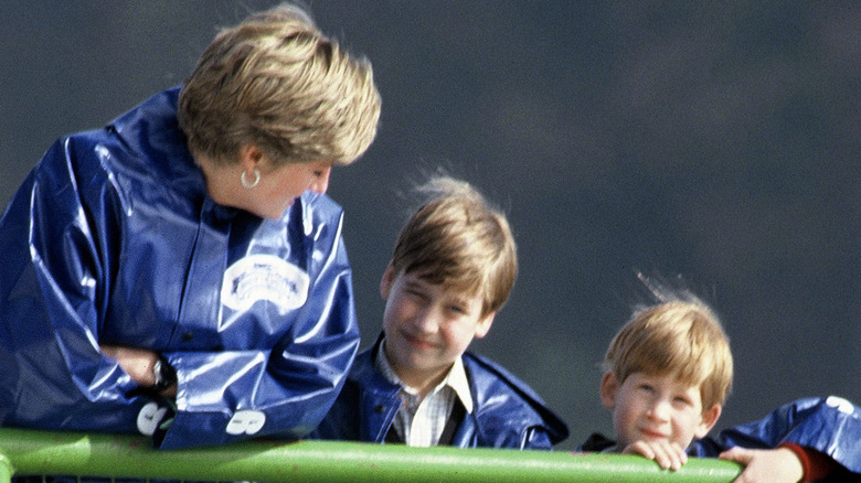 Diana with William and Harry