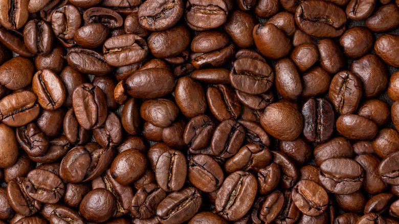 Harvested coffee beans