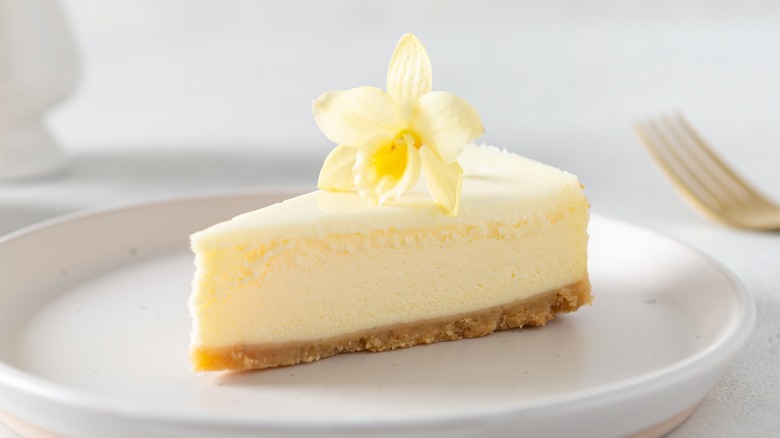 Delicate slice of cheesecake