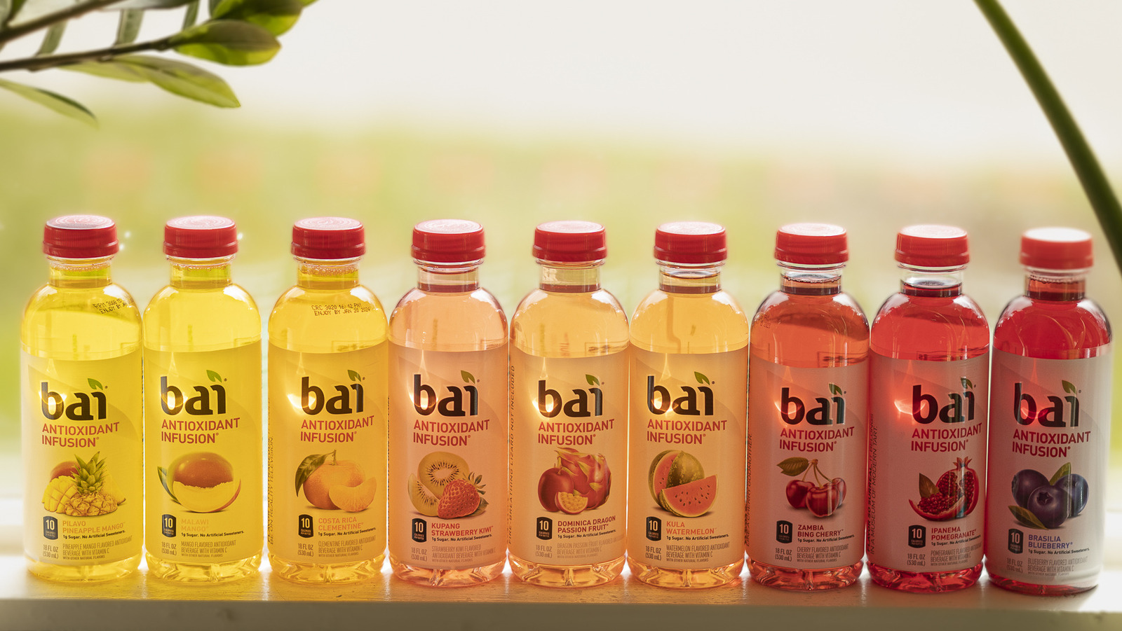 Bai 5 Antioxidant Infusions Malawi Mango Beverage - Shop Juice at