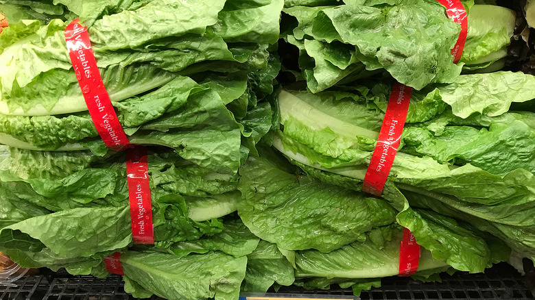 Grocery store lettuce