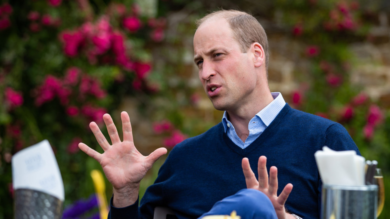 Prince William talking in garden