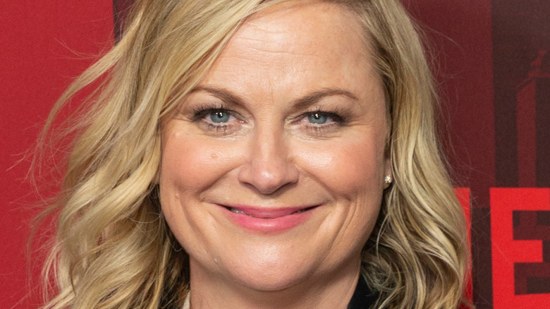 Headshot of Amy Poehler