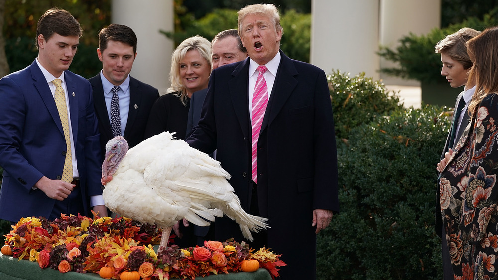 President Trump pardoning a turkey