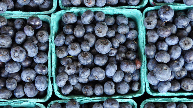 Fresh blueberries in green pint baskets