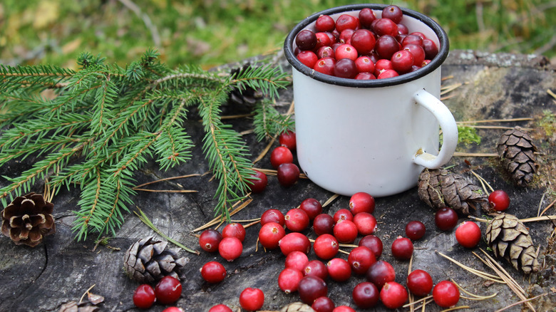 Mug of cranberries outdoors