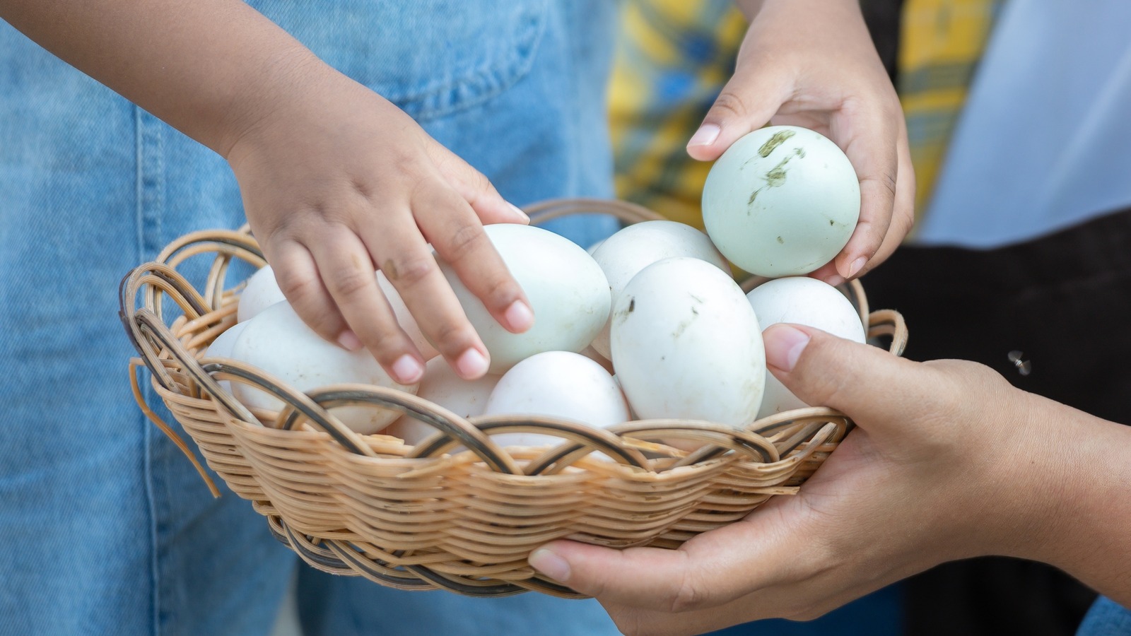 Everything You Need To Know About Duck Eggs, According To Farmers