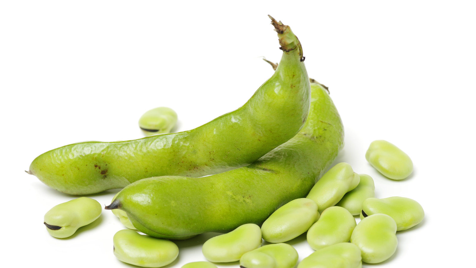 Everything You Need To Know About Fava Beans
