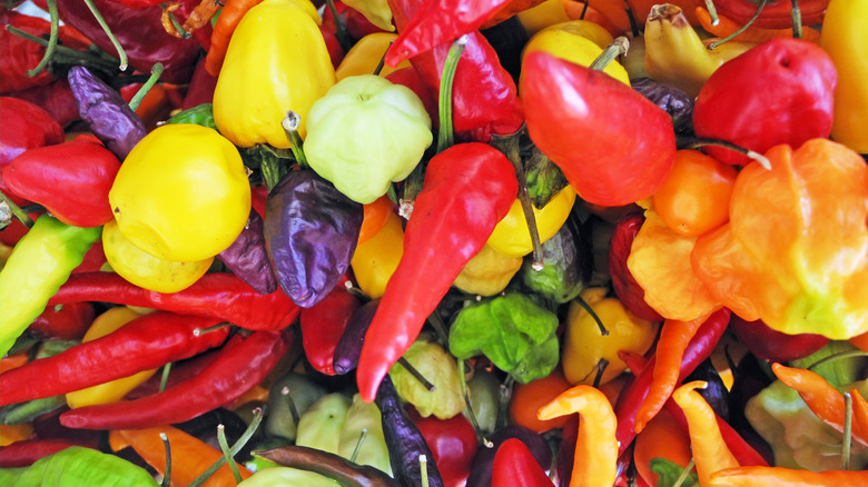 Mix of chili peppers