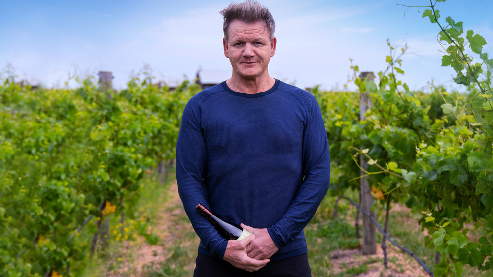Gordon Ramsay in vineyard holding wine