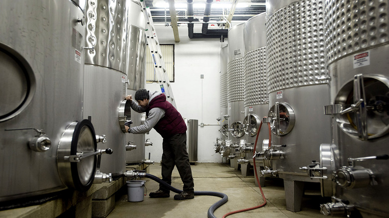 Wine fermenting in steel vats