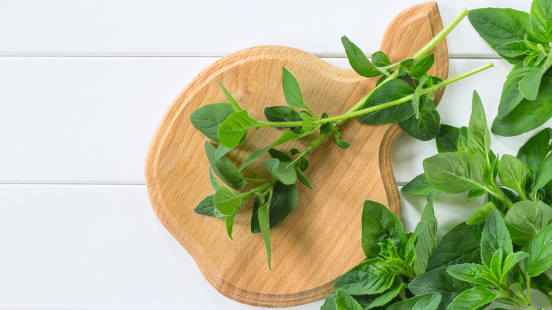 Oregano sprigs on cutting board