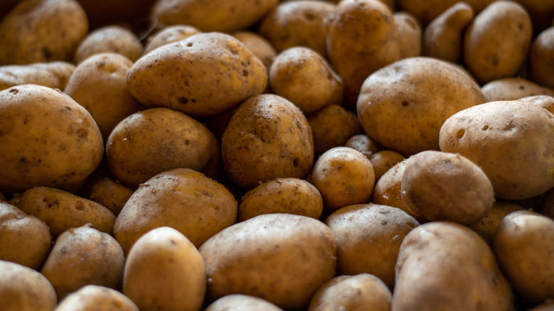 A pile of brown russet potatoes