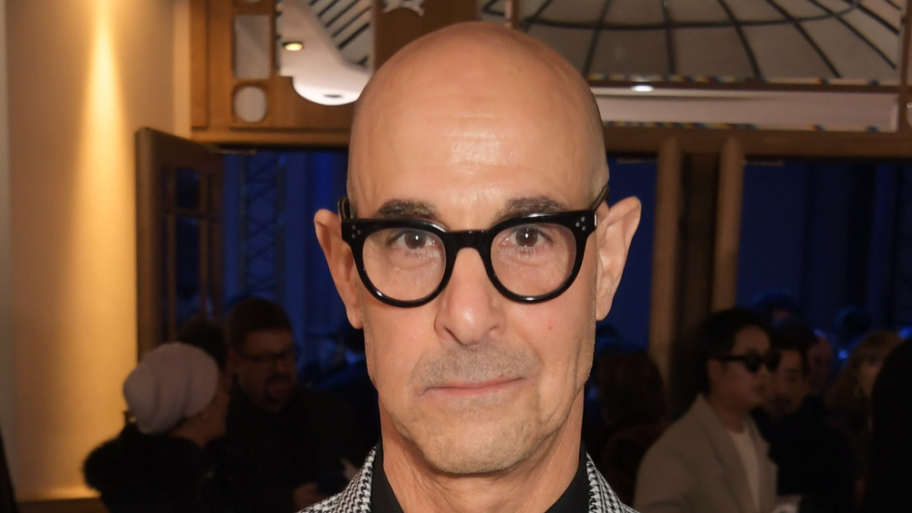 Stanley Tucci smirking