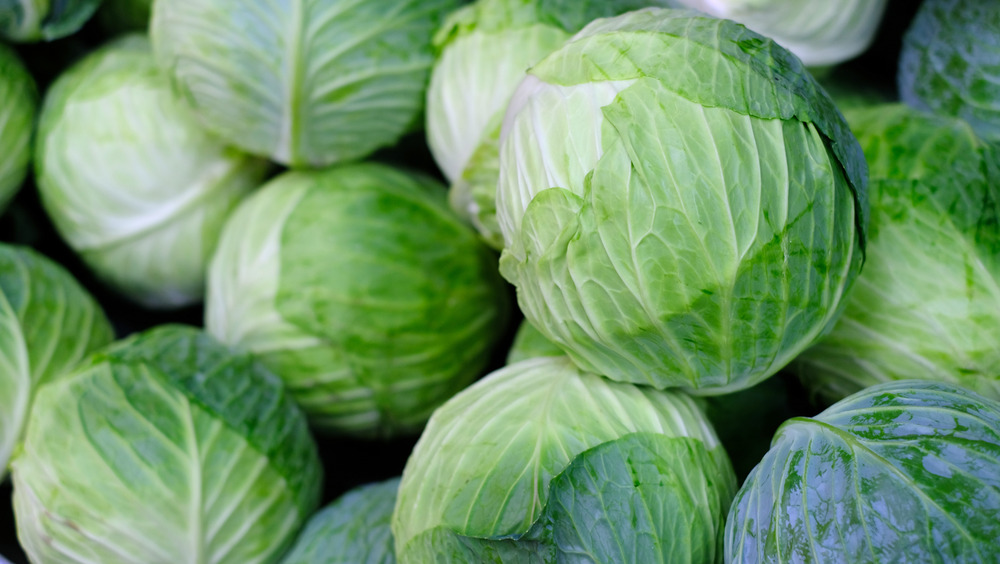 Heads of cabbage