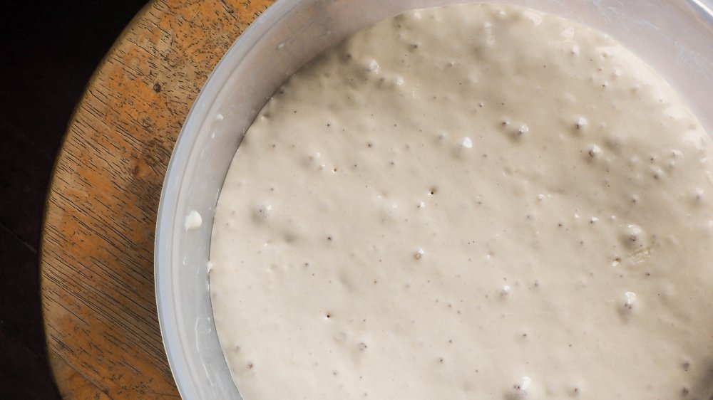 Sourdough starter in plastic container