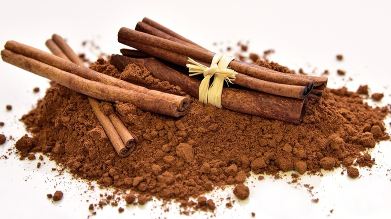 Cinnamon in stick and powder form