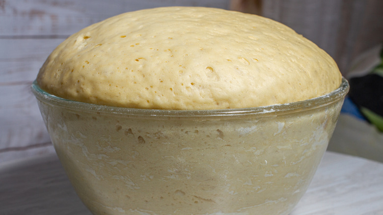 Bowl of well-risen sourdough bread dough