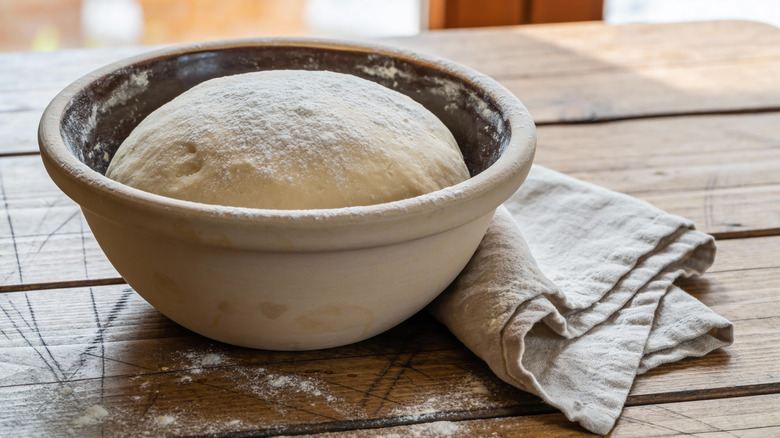 Bread dough in mixing bowl