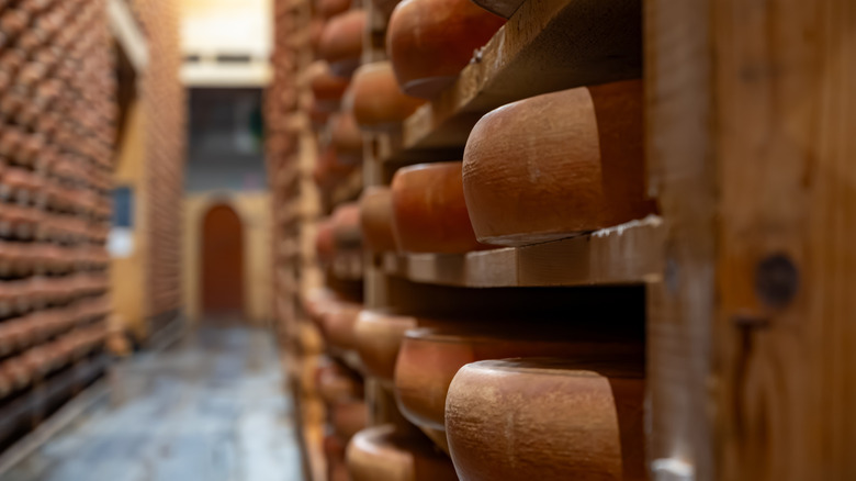 Cheese wheels aging on wooden shelves
