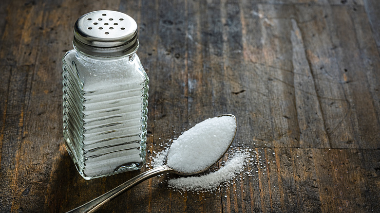 Shaker and spoon with salt