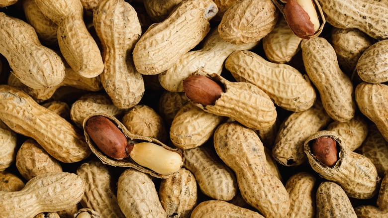 Peanuts in shells