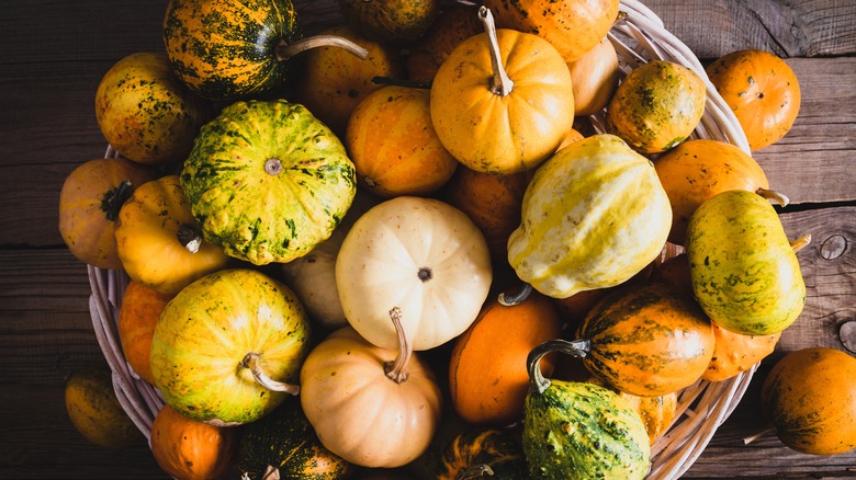 a selection of squash and pumpkins