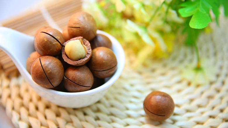 macadamia nuts
