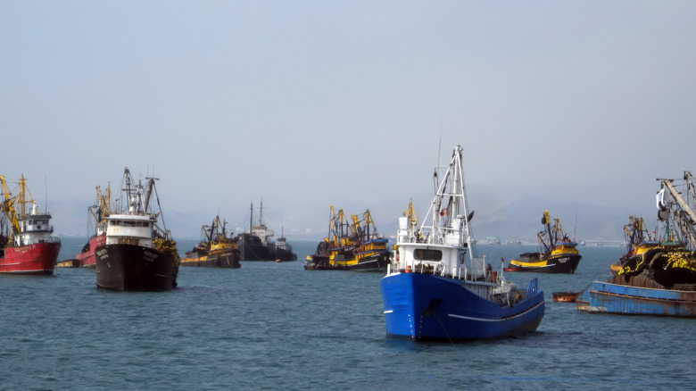 Commercial fishing boats, vessels, fishing trawler at sea fishing in Asia