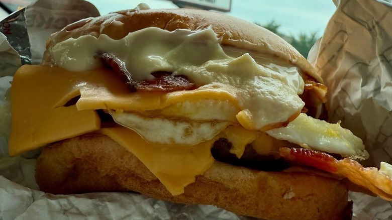 Wendy's Breakfast Baconator