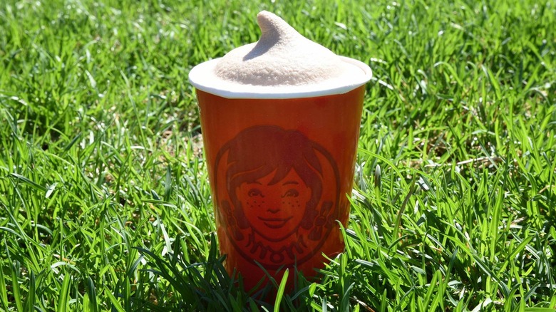 Wendy's frosty in cup on grass