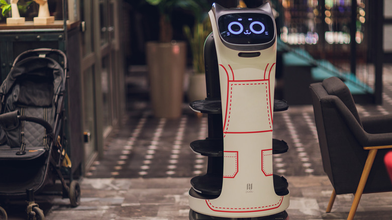 cat robot waiter at Japanese restaurant