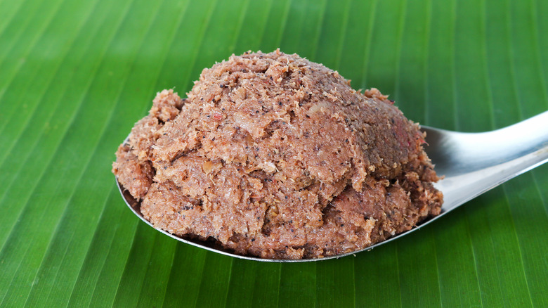 shrimp paste on spoon