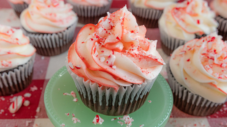 chocolate peppermint cupcakes on plate
