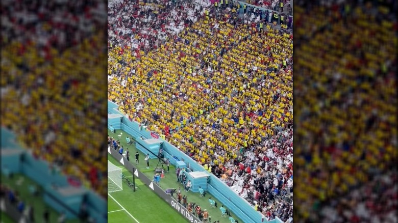 Ecuadorian fans at Qatar World Cup