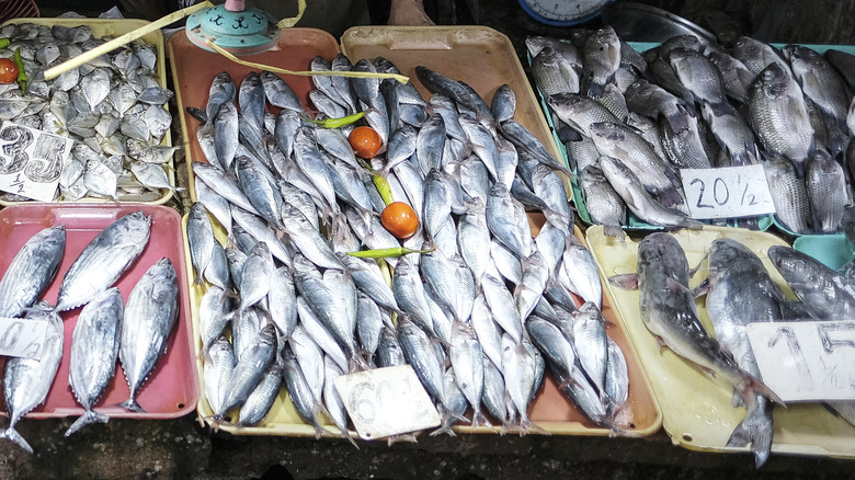 fresh fish sold at market