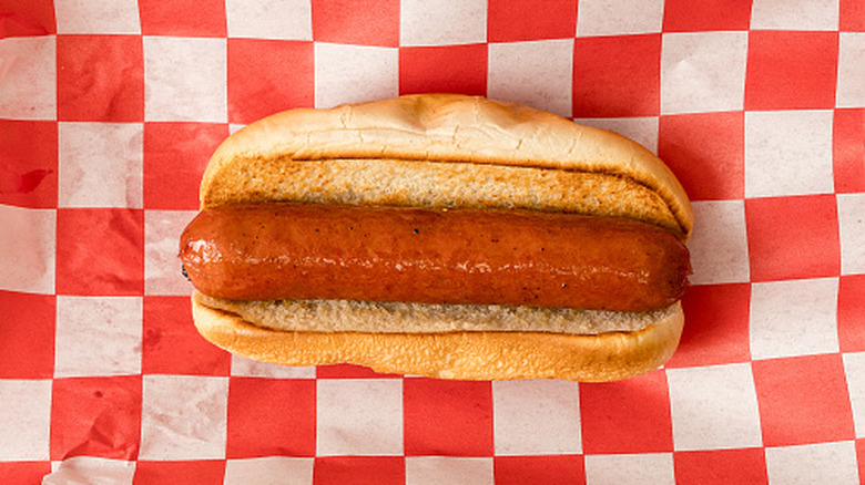 Plain hot dog in a bun.