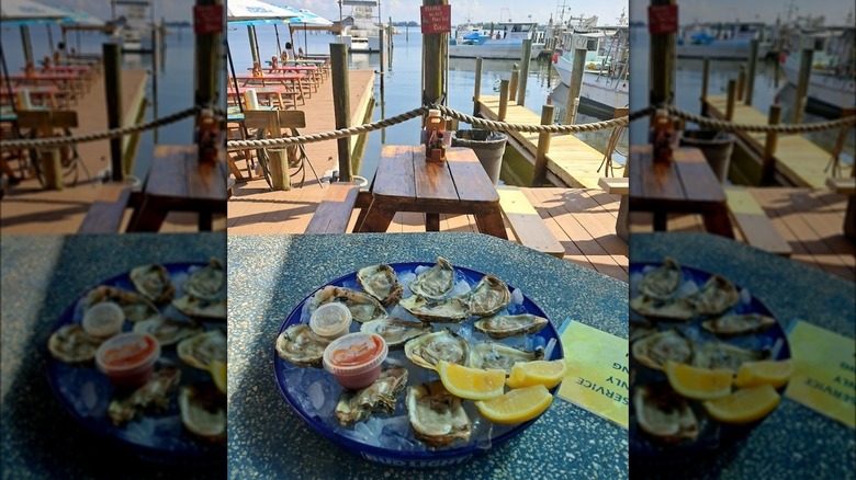 Star Fish Company oysters on the dock by the water