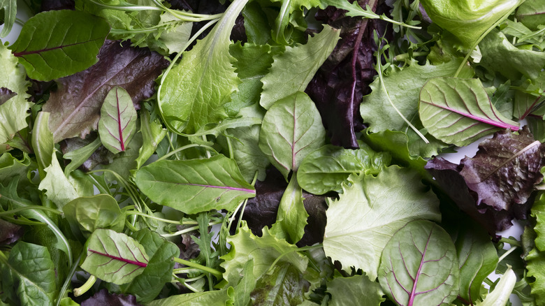 Closeup of a salad mixture