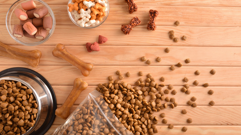 dog food and treats