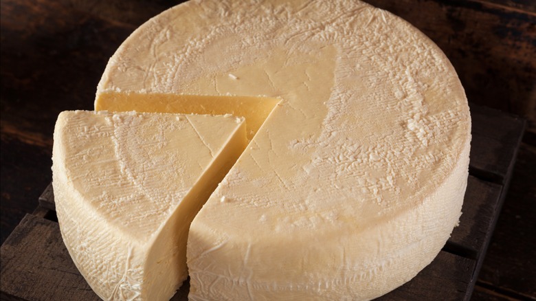 large wheel of cheese
