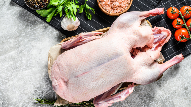 raw goose with tomatoes