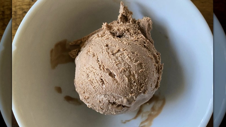 Scoop of chocolate malt ice cream in white bowl
